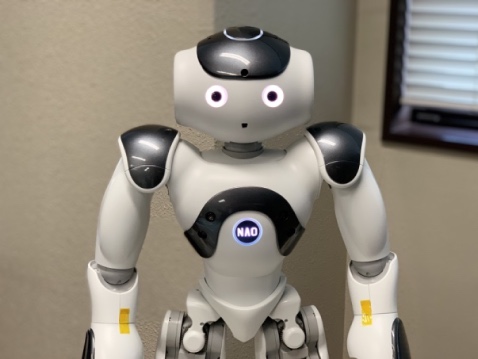 Nao6